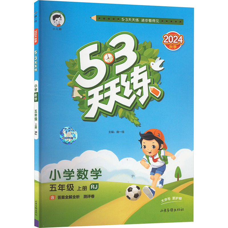 5·3天天练 小学数学 五年级 上册 RJ 2024