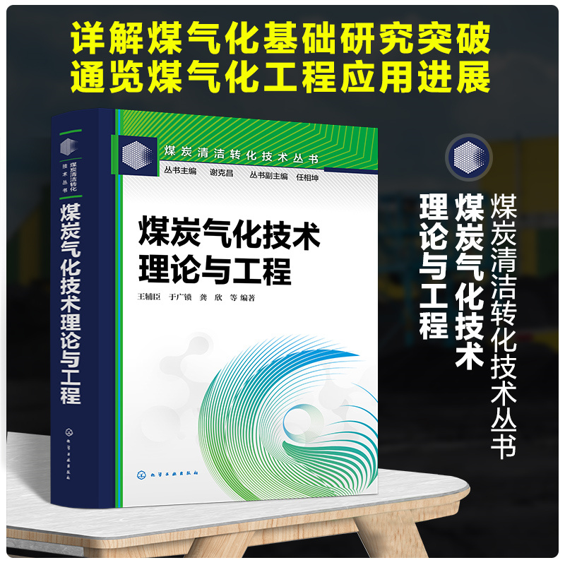 煤炭气化技术:理论与工程