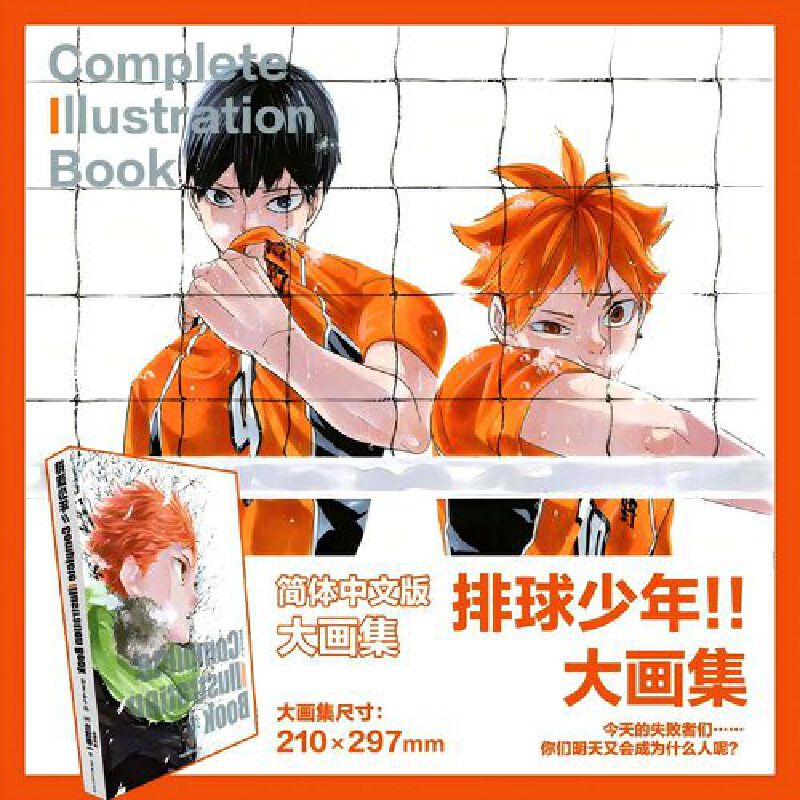 排球少年!!Complete Illustration Book结束与开始