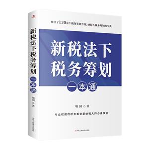 新稅法下稅務籌劃一本通