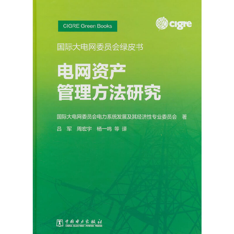 国际大电网委员会绿皮书 电网资产管理方法研究