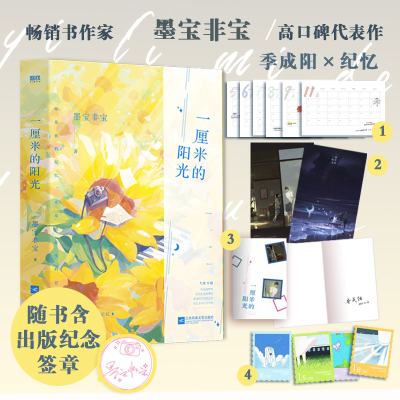 中国当代言情小说:一厘米的阳光