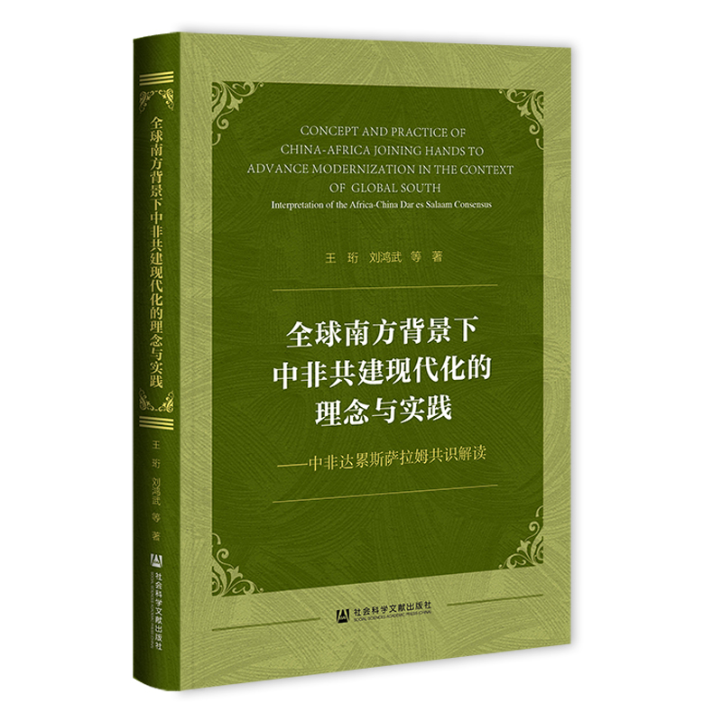 全球南方背景下中非共建现代化的理念与实践