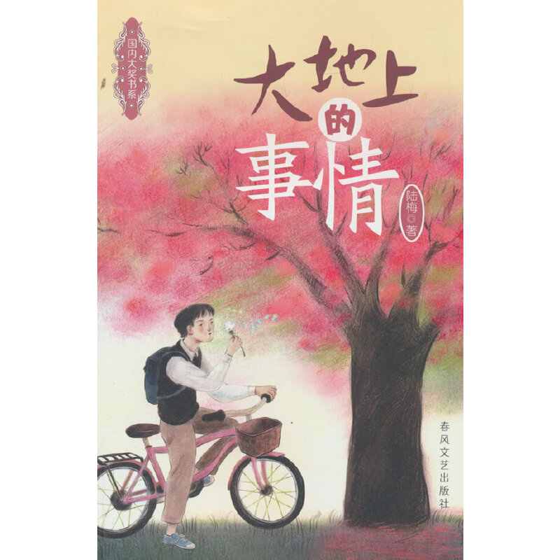 国内大奖书系:大地上的事情