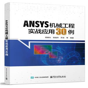 ANSYSCе̌30