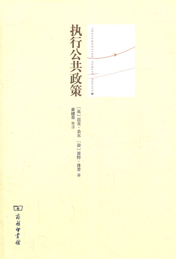 执行公共政策
