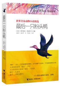 最后一只粉头鸭-技术教育社区