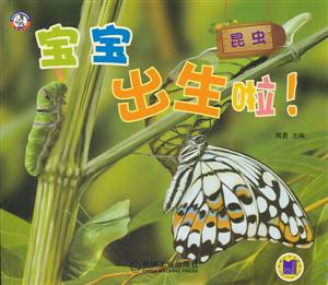 昆虫-宝宝出生啦!-技术教育社区