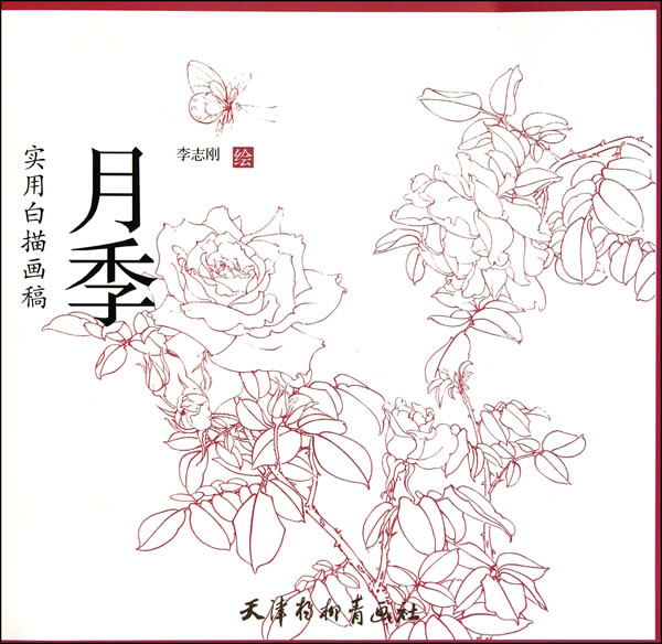 月季-实用白描画稿