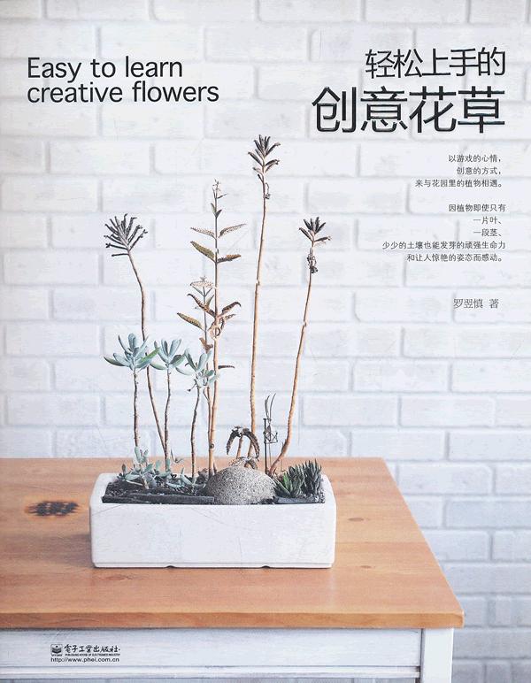 轻松上手创意花草