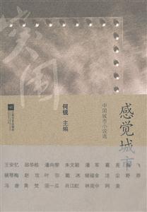 感觉城市-中国城市小说选-技术教育社区