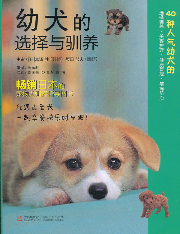 幼犬的选择与驯养