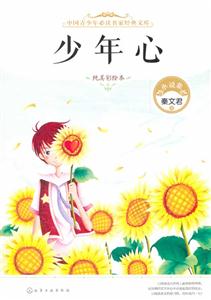 少年心-小说集-纯美彩绘本-技术教育社区