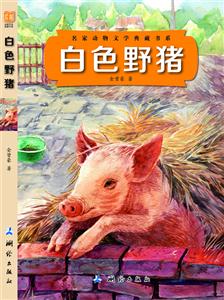 白色野猪-技术教育社区