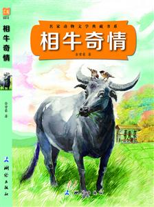 相牛奇情-技术教育社区