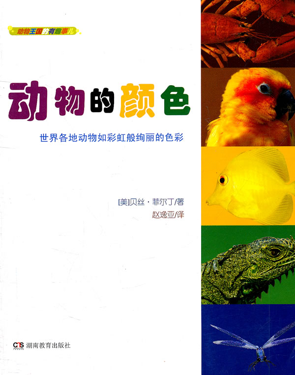 动物的颜色-世界各地动物如彩虹般绚丽的色彩-动物王国的有趣事儿