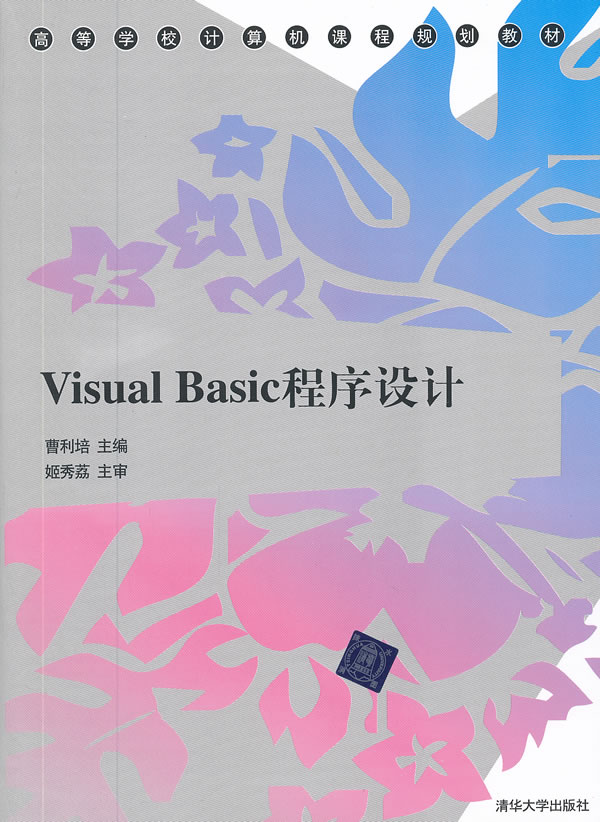 visual basic程序设计