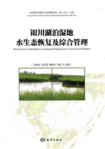 银川湖泊湿地水生态恢复及综合管理-技术教育社区
