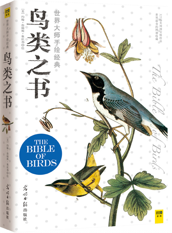 鸟类之书