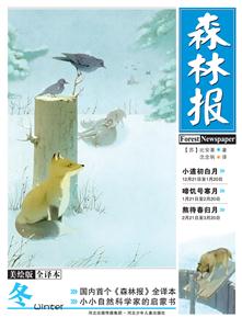 冬-森林报-美绘版-全译本-技术教育社区