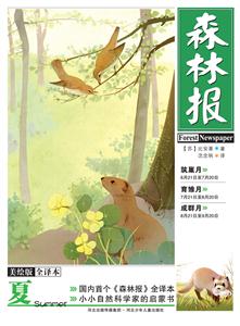夏-森林报-美绘版-全译本-技术教育社区