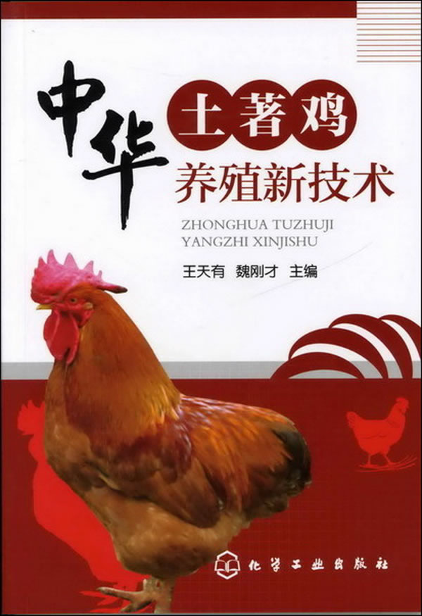 中华土著鸡养殖新技术