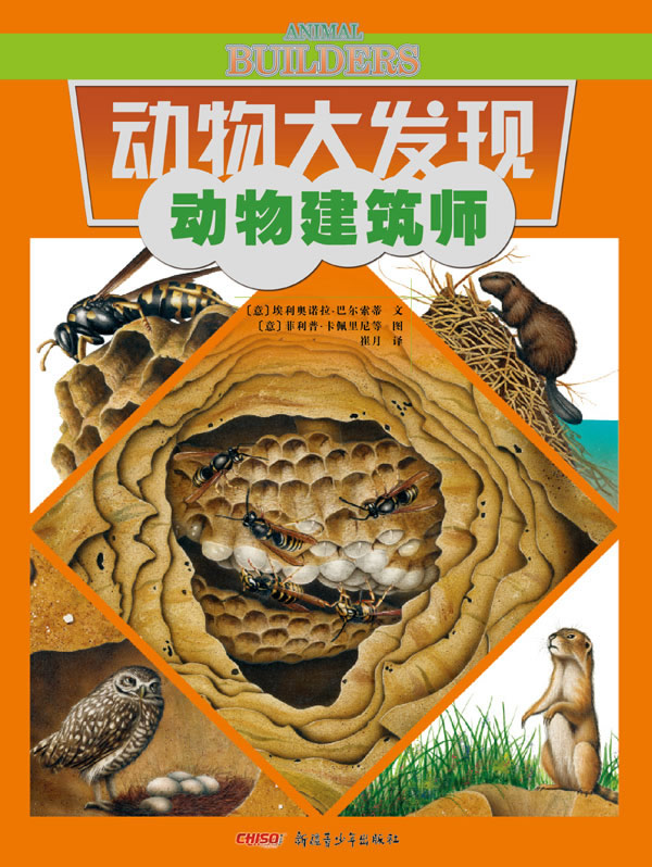 动物建筑师动物大发现