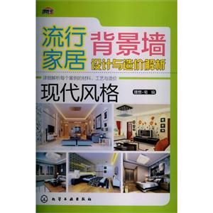 现代风格-流行家居背景墙设计与造价解析-技术教育社区
