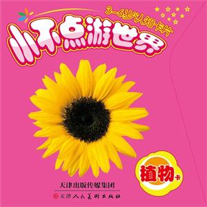 槙物卡-小不点游世界-3-6岁认知卡片-技术教育社区