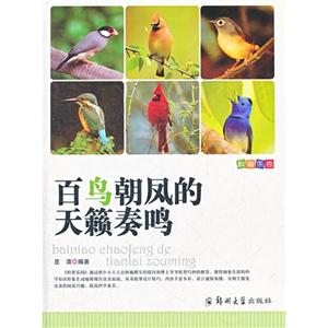 百鸟朝凤的天籁奏鸣-科普乐园-技术教育社区