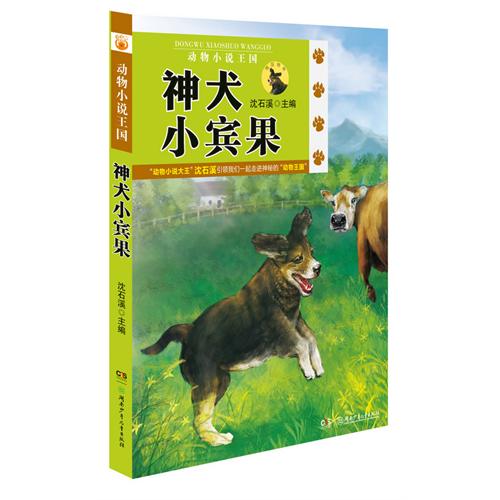 神犬小宾果-动物小说王国