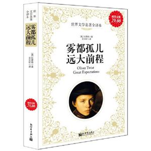 雾都孤儿远大前程-技术教育社区