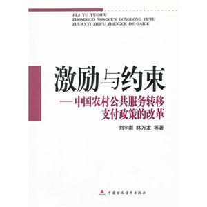 激励与约束-中国农村公共服务转移支付政策的改革-技术教育社区
