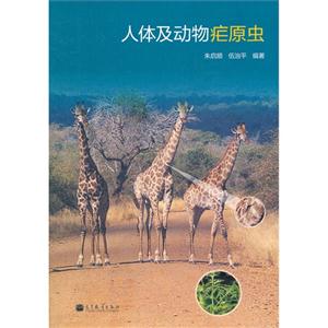 人体及动物疟原虫-技术教育社区