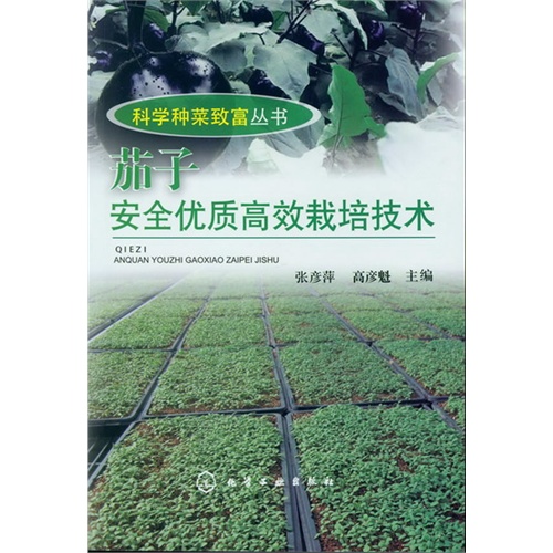 茄子安全优质高效栽培技术