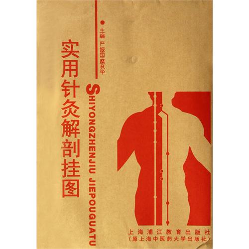 实用针灸解剖挂图