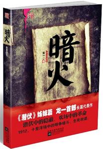 长篇小说:暗火-技术教育社区