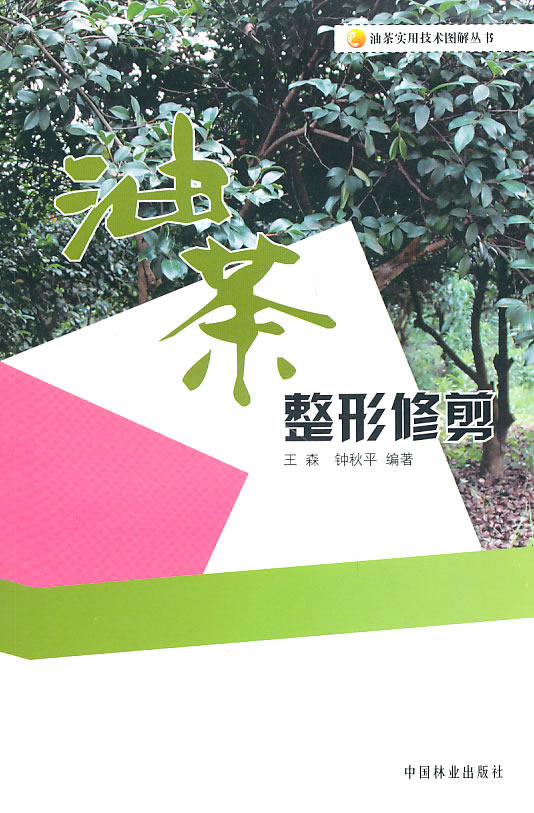 油茶整形修剪