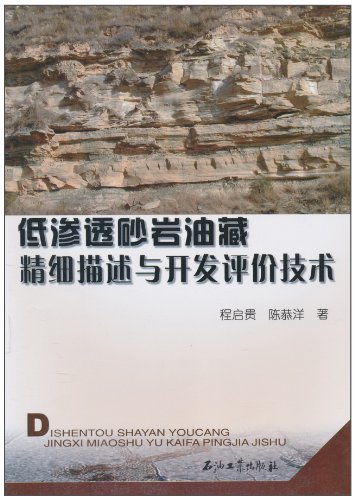 低渗透砂岩油藏精细描述与开发评价技术