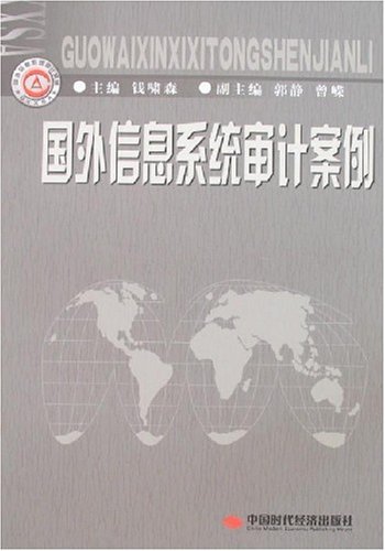国外信息系统审计案例