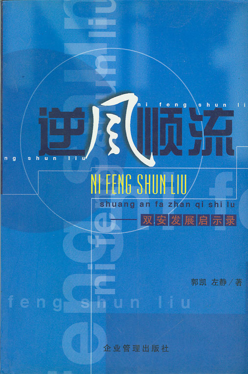 逆风顺流：双安发展启示录