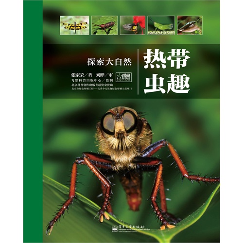 热带虫趣-探索大自然