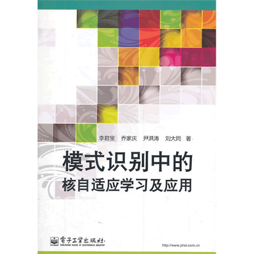 模式识别中的核自适应学习及应用