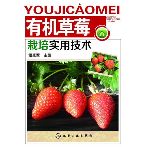有机草莓栽培实用技术