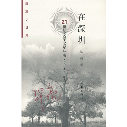 在深圳-2013年卷