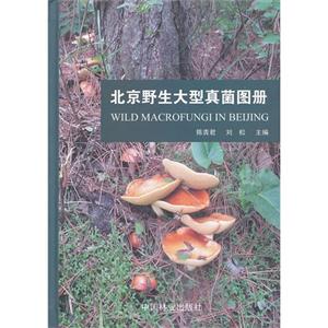 北京野生大型真菌图册-技术教育社区