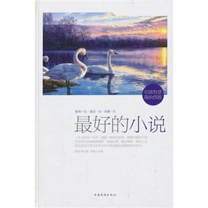 最好的小说-技术教育社区