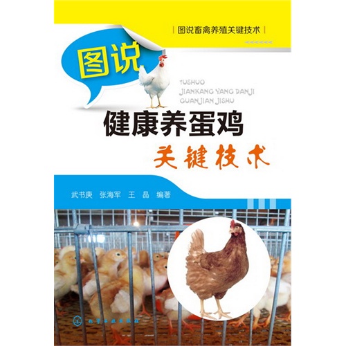 图说健康养蛋鸡关键技术