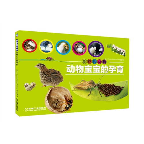 动物宝宝的孕育-奇妙的动物