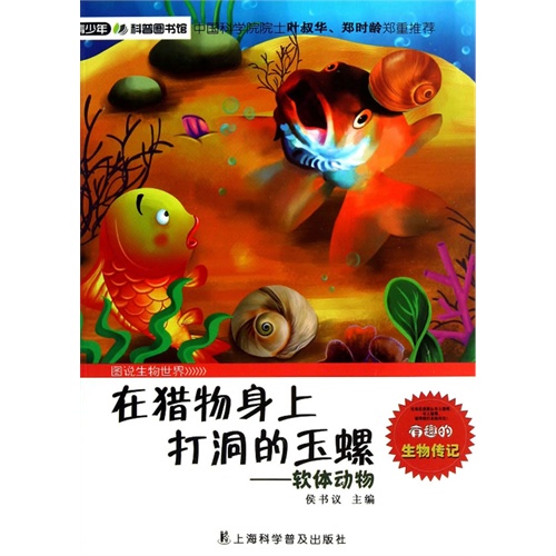 在猎物身上打洞的玉螺-软体动物-图说生物世界